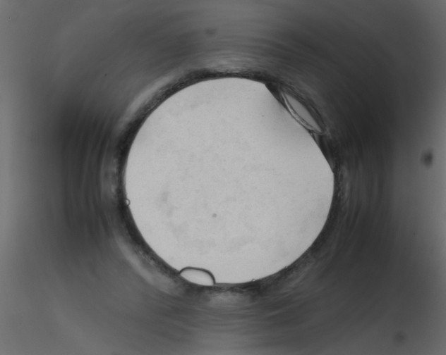 X0000115800400200912241857