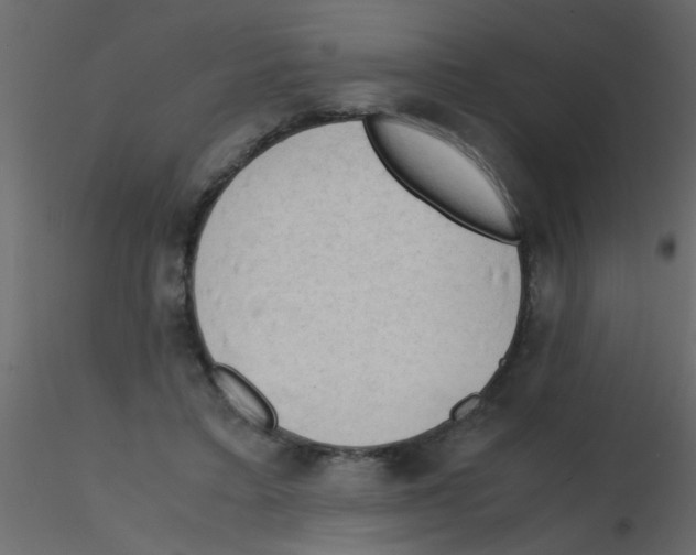 X0000115800403200912241857