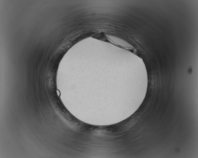 X0000115800408200912241857