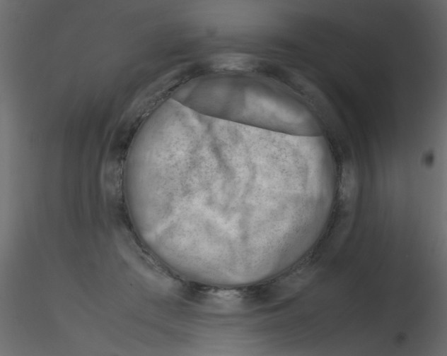 X0000115800409200912241857