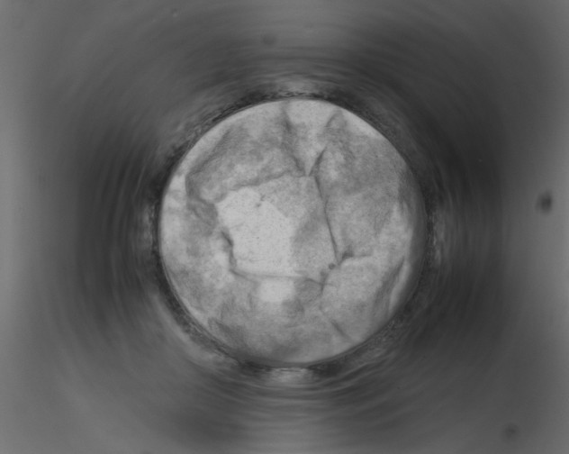 X0000115800410200912241857