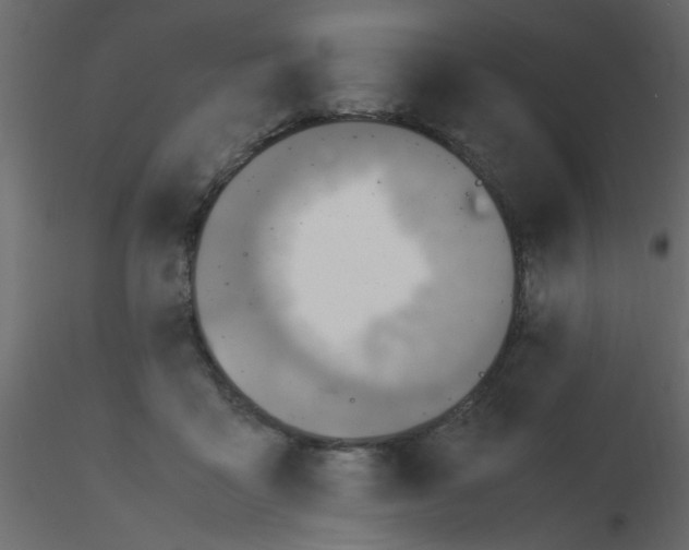 X0000115800411200912241857