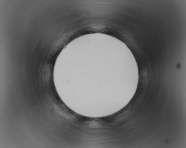 X0000115800412200912241857