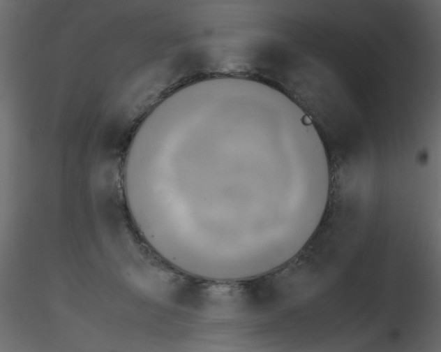 X0000115800415200912241857