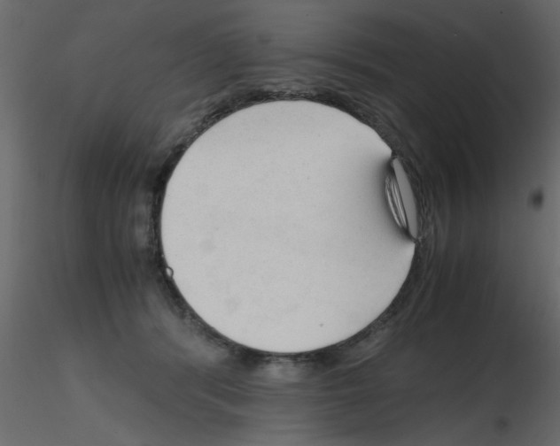 X0000115800416200912241857