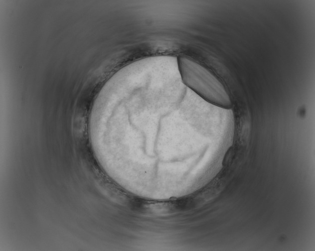 X0000115800417200912241857