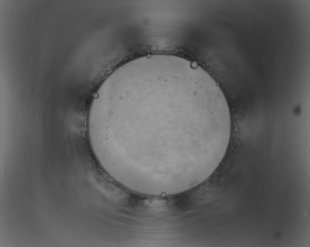 X0000115800419200912241857