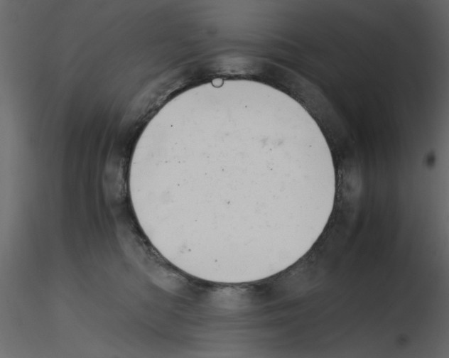 X0000115800422200912241857