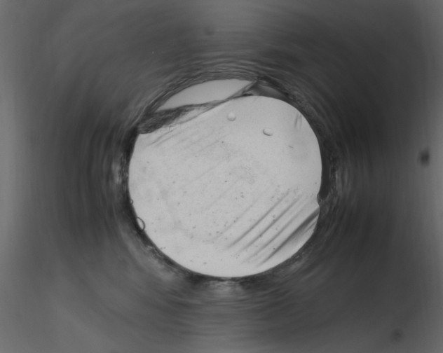 X0000115800424200912241857