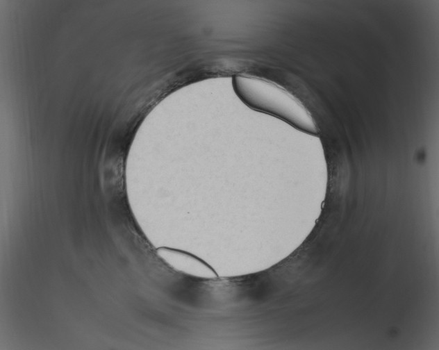 X0000115800425200912241857