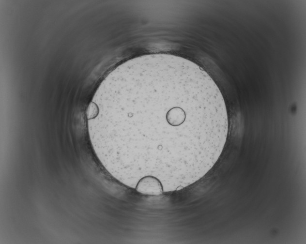 X0000115800426200912241857