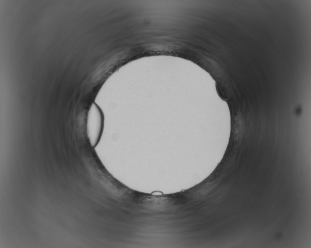 X0000115800428200912241857