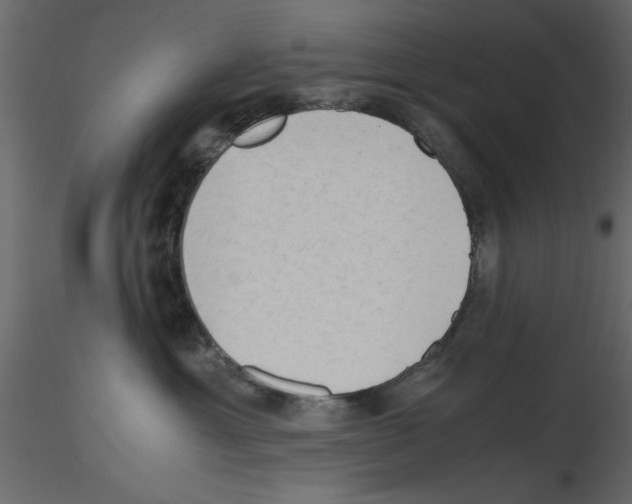 X0000115800429200912241857