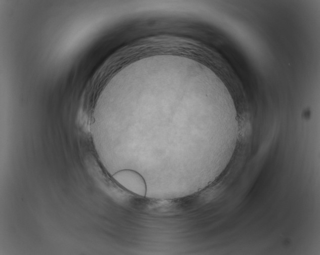 X0000115800431200912241857