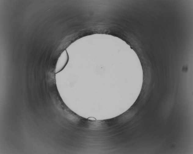 X0000115800432200912241857