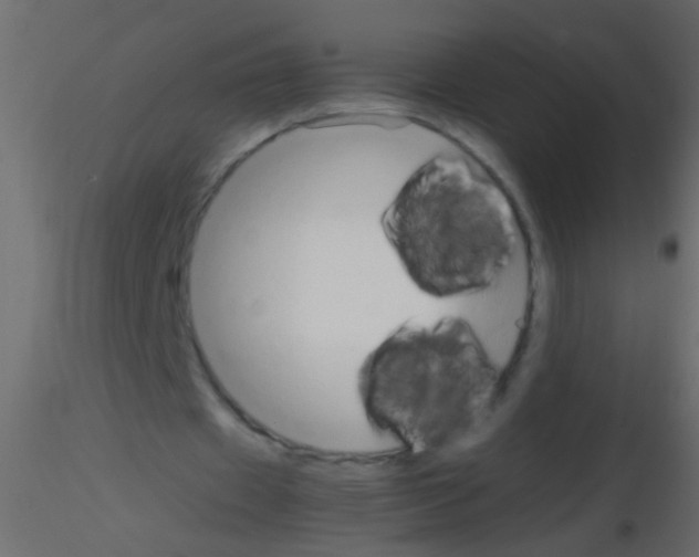 X0000115800433200912241856