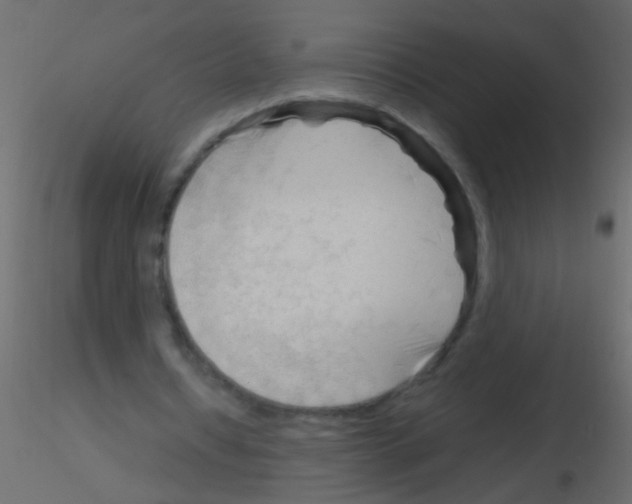 X0000115800434200912241856