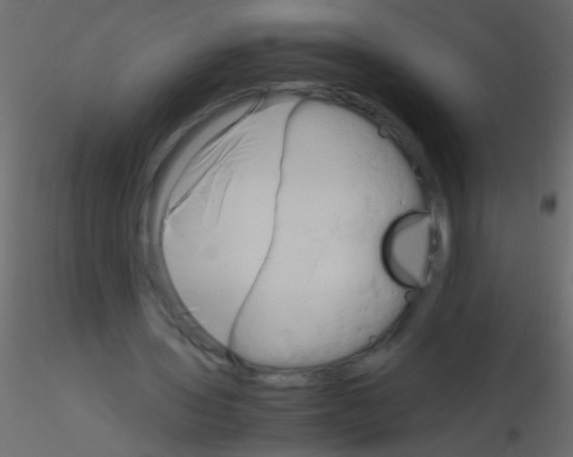 X0000115800435200912241856