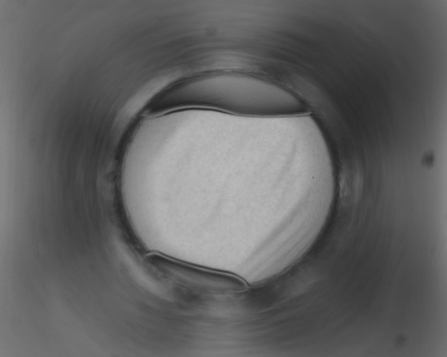 X0000115800436200912241856