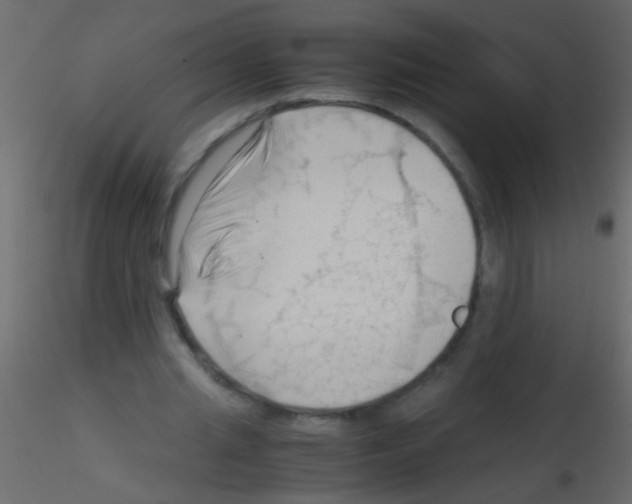 X0000115800437200912241856