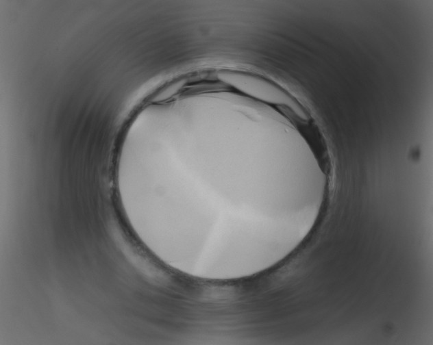 X0000115800438200912241856