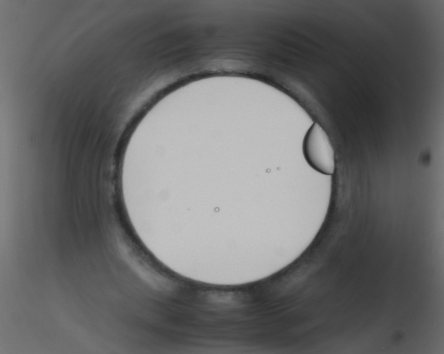 X0000115800439200912241856