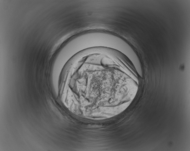 X0000115800440200912241856