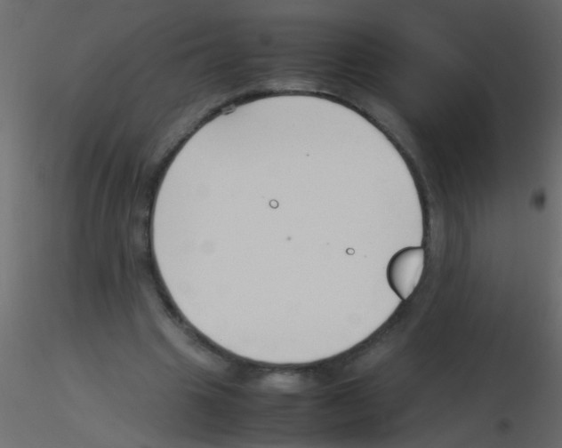 X0000115800441200912241856