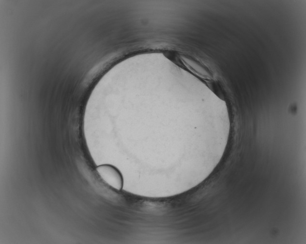 X0000115800442200912241856