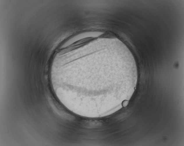 X0000115800443200912241856