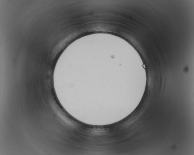 X0000115800445200912241856