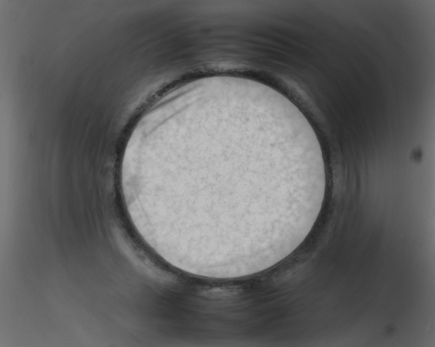 X0000115800447200912241856