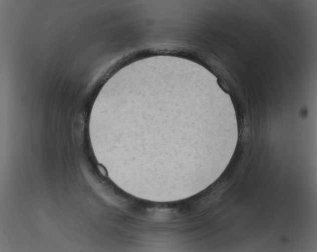 X0000115800448200912241856