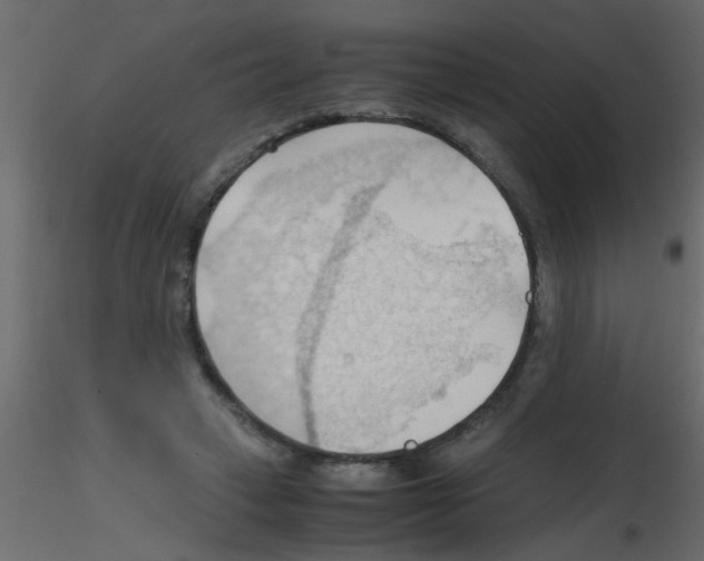 X0000115800449200912241856