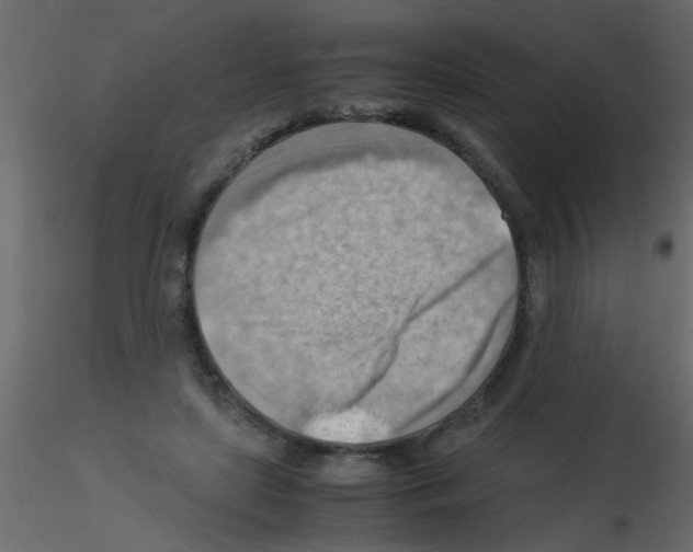 X0000115800451200912241856