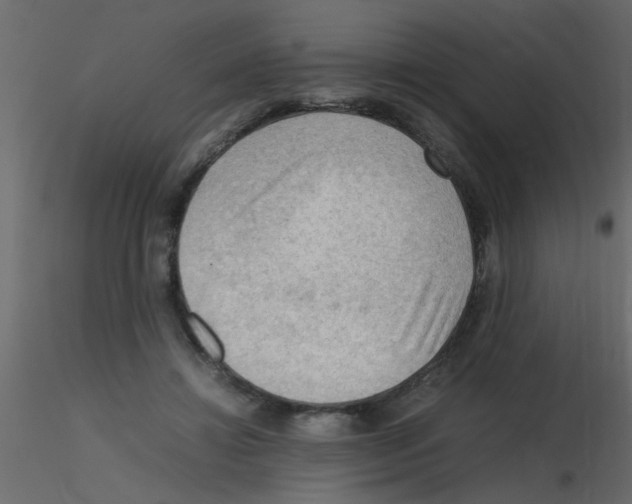 X0000115800452200912241856