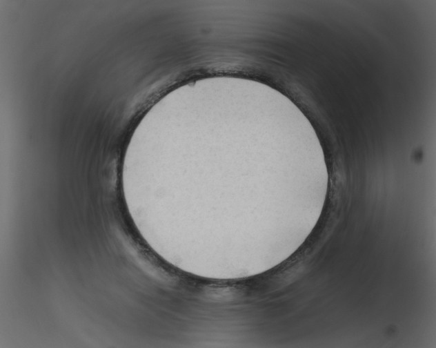 X0000115800454200912241856