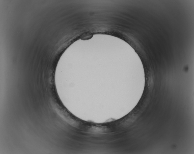 X0000115800455200912241856