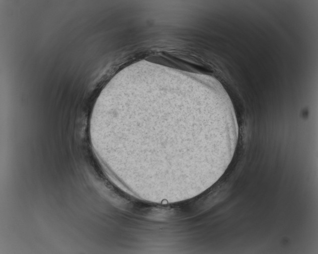 X0000115800458200912241856