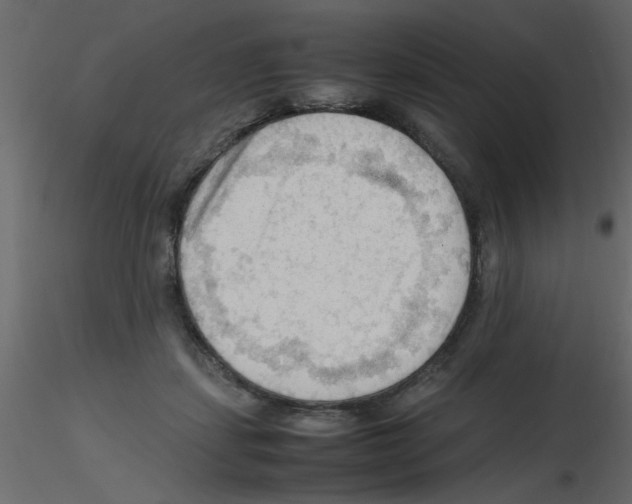 X0000115800459200912241856