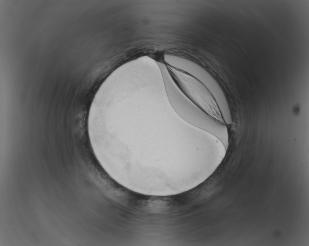 X0000115800462200912241856