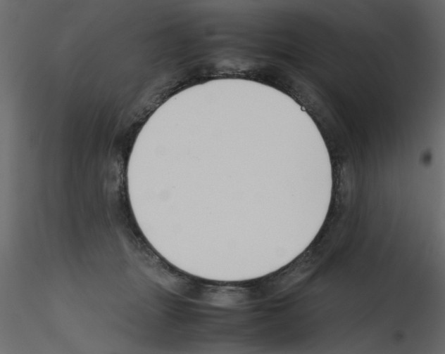 X0000115800463200912241856