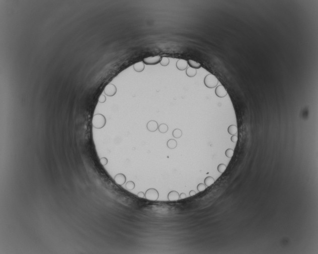 X0000115800464200912241856