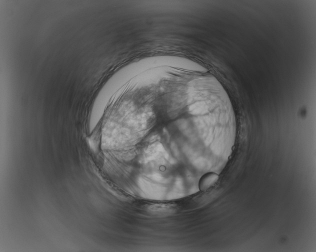 X0000115800465200912241856