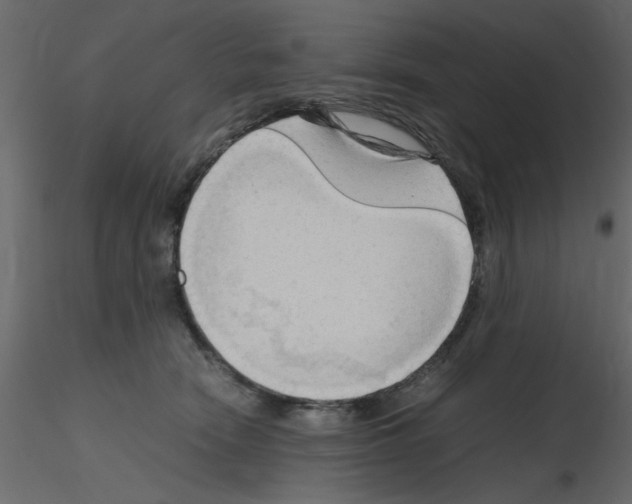 X0000115800466200912241856