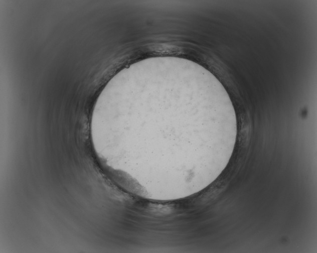 X0000115800469200912241857