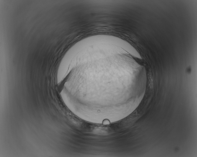 X0000115800471200912241857