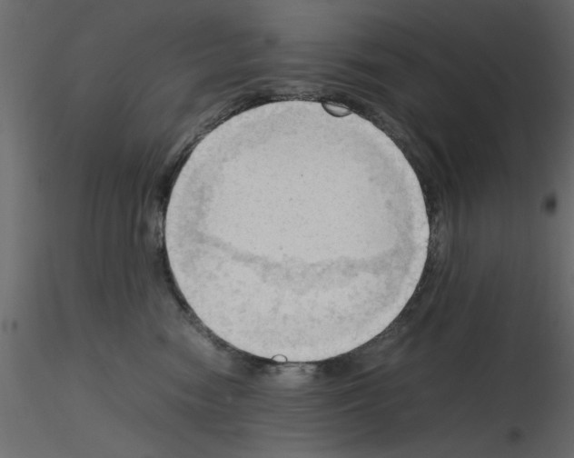 X0000115800474200912241857