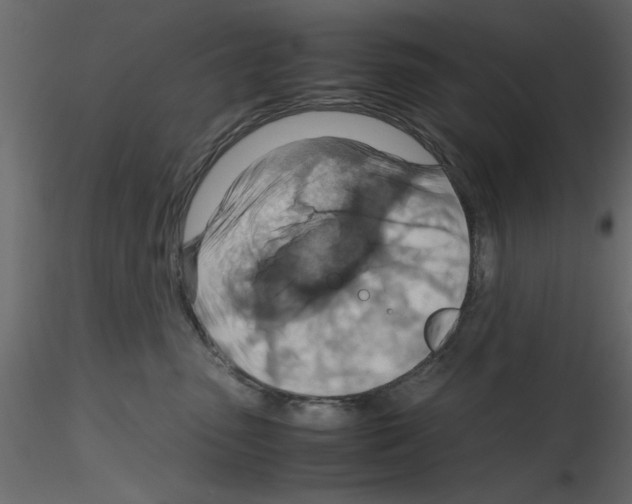 X0000115800475200912241857