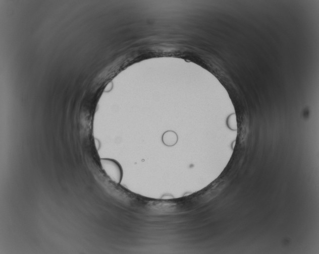 X0000115800476200912241857